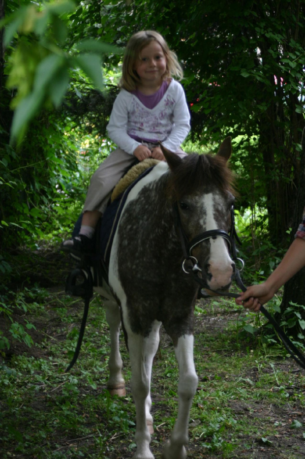 Konik w przedszkolu „średniaczki” 07.06.2011 #Piekarska