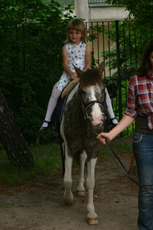 Konik w przedszkolu „średniaczki” 07.06.2011 #Piekarska