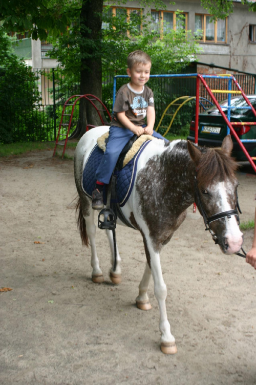 Konik w przedszkolu „średniaczki” 07.06.2011 #Piekarska