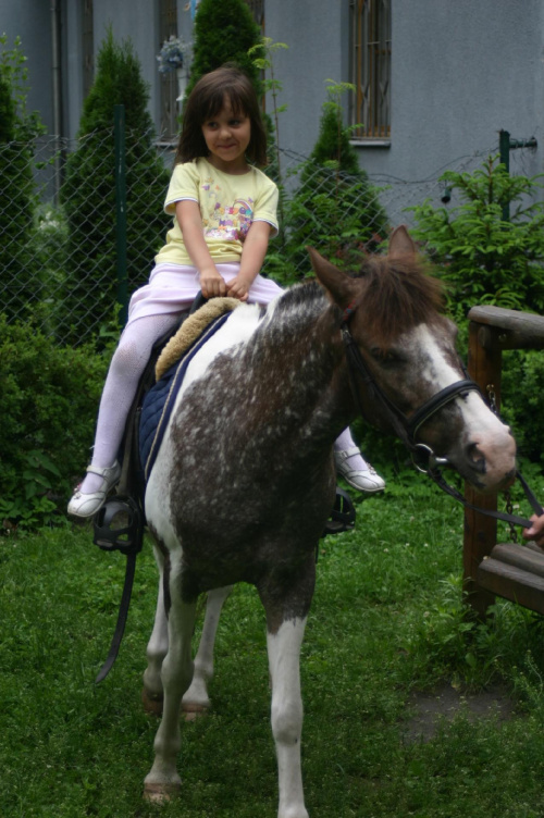 Konik w przedszkolu „średniaczki” 07.06.2011 #Piekarska