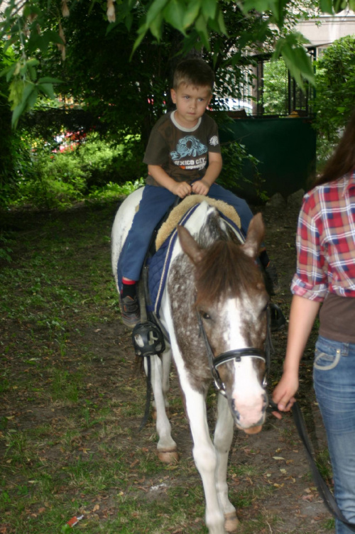 Konik w przedszkolu „średniaczki” 07.06.2011 #Piekarska