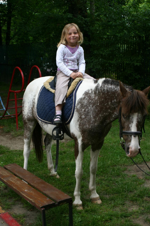 Konik w przedszkolu „średniaczki” 07.06.2011 #Piekarska