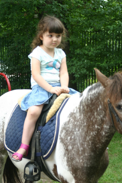 Konik w przedszkolu „średniaczki” 07.06.2011 #Piekarska