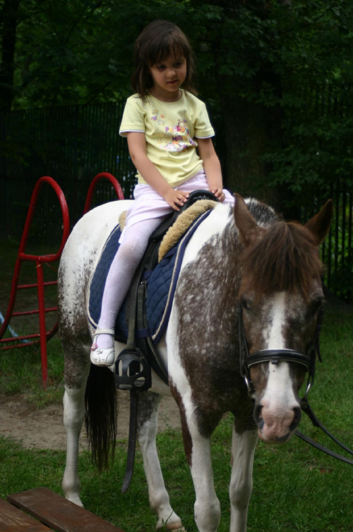 Konik w przedszkolu „średniaczki” 07.06.2011 #Piekarska