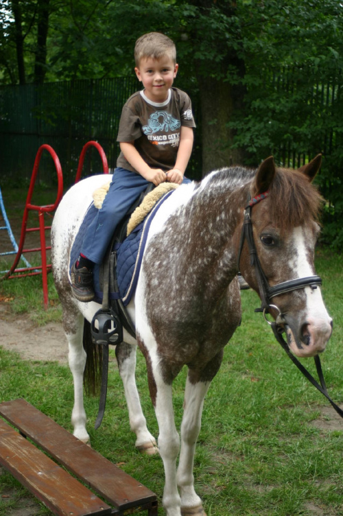 Konik w przedszkolu „średniaczki” 07.06.2011 #Piekarska