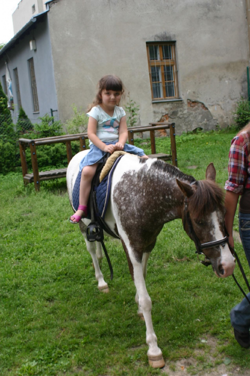 Konik w przedszkolu „średniaczki” 07.06.2011 #Piekarska