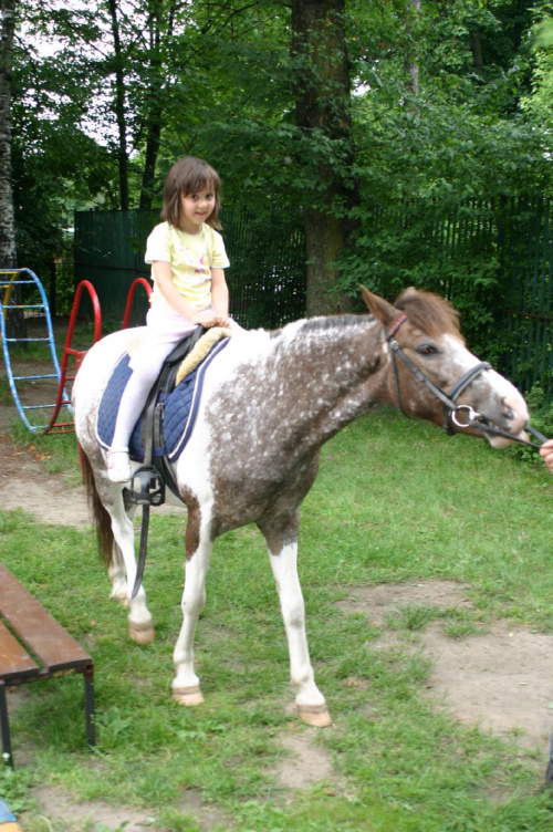 Konik w przedszkolu „średniaczki” 07.06.2011 #Piekarska