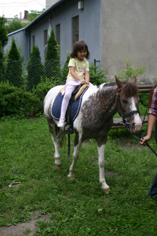 Konik w przedszkolu „średniaczki” 07.06.2011 #Piekarska