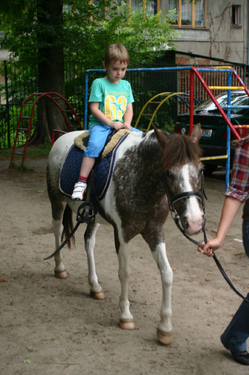 Konik w przedszkolu „średniaczki” 07.06.2011 #Piekarska