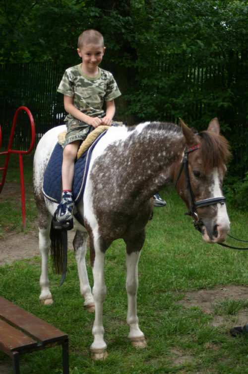 Konik w przedszkolu „średniaczki” 07.06.2011 #Piekarska