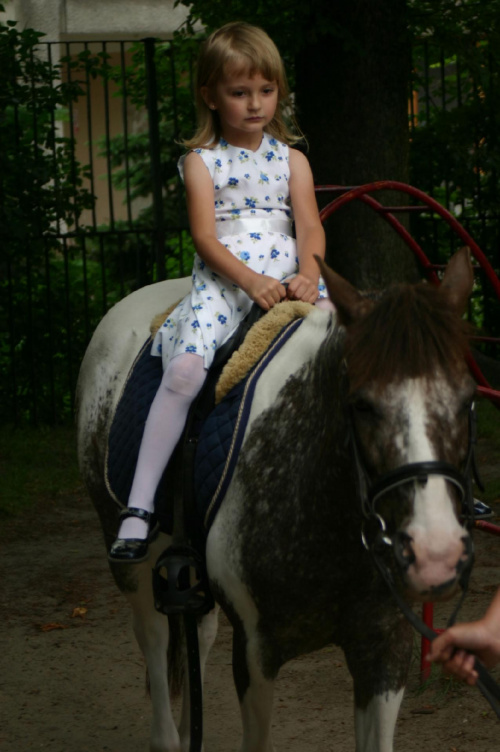 Konik w przedszkolu „średniaczki” 07.06.2011 #Piekarska