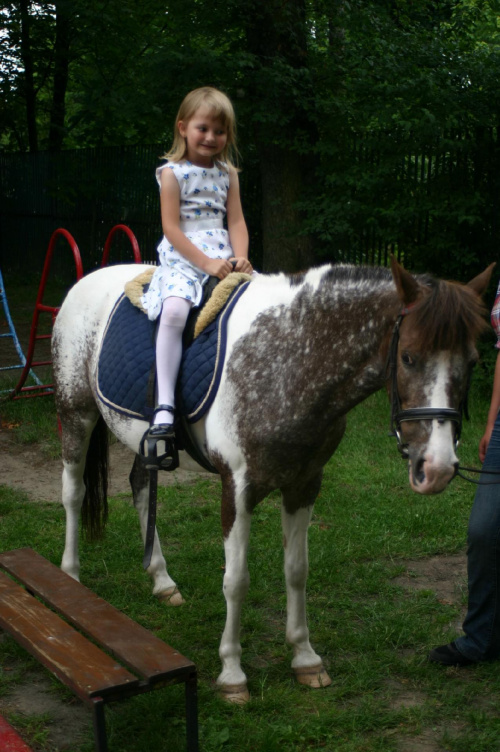 Konik w przedszkolu „średniaczki” 07.06.2011 #Piekarska