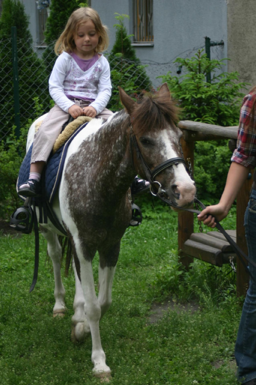 Konik w przedszkolu „średniaczki” 07.06.2011 #Piekarska