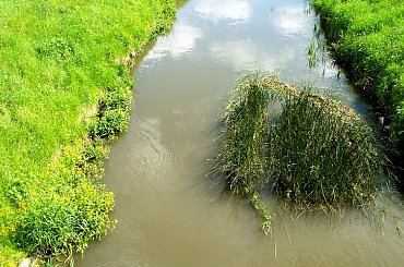 rz. Ślęza we Wrocławiu #rzeki