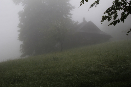 chatka w chmurach #las #mgła