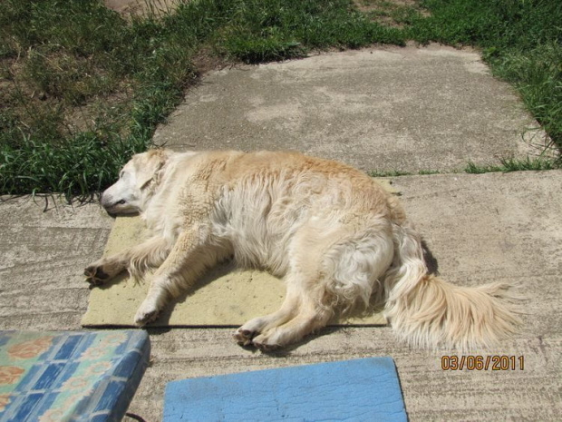 a u siebie mała dosycha na słoneczku chociaż temperatura 47C