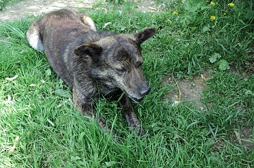 Kocham Cię Topiczku! #dom #szczęście