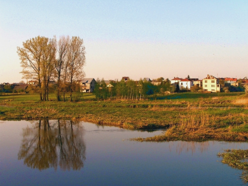 Moja okolica, rzeka Narew.