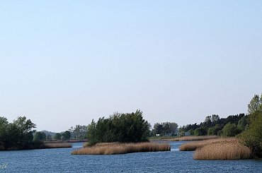 nad Jeziorem Dębowa ... niedzielne popołudnie ... #jezioro #woda #wiosna #wycieczka #Dębowa