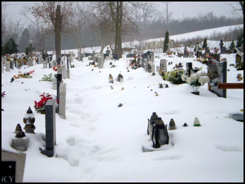 Cmentarz w Gostyniu w zimowej scenerii
