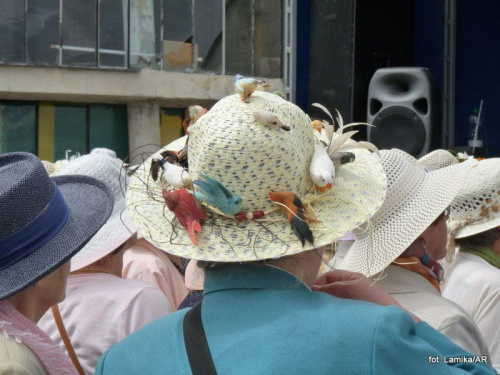 Służewiec - piknik, konkurs kapeluszy