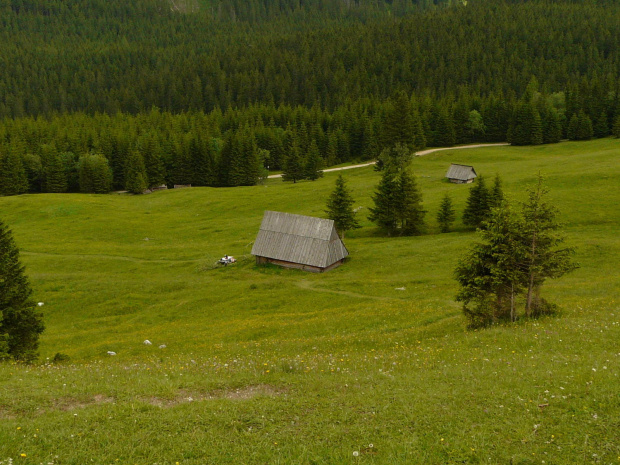 Wspomnienia z Zakopanego #ZAKOPANE