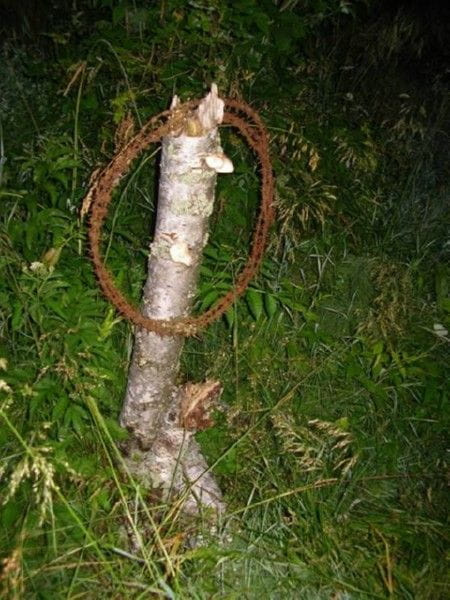 Bukowiec k. Sianek (podkarpackie) - cmentarz IWŚ