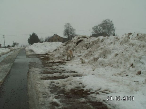 A było tak pięknie