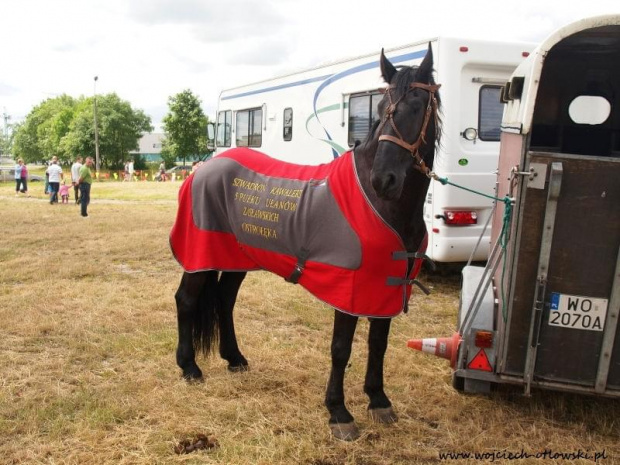 XI Piknik Kawaleryjski w Suwałkach, 18 czerwca 2011 #PiknikKawaleryjski #Suwałki #konie