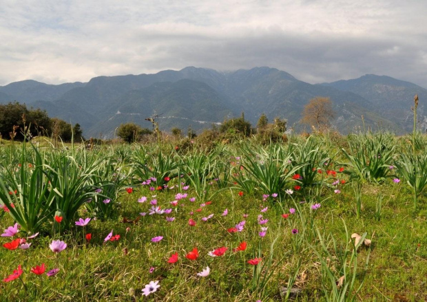 albanskie #Albania