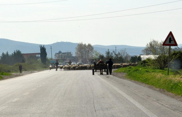 albanskie #Albania