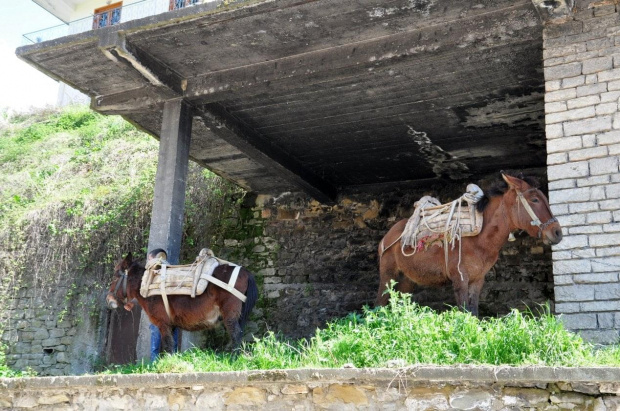 albanskie #Albania