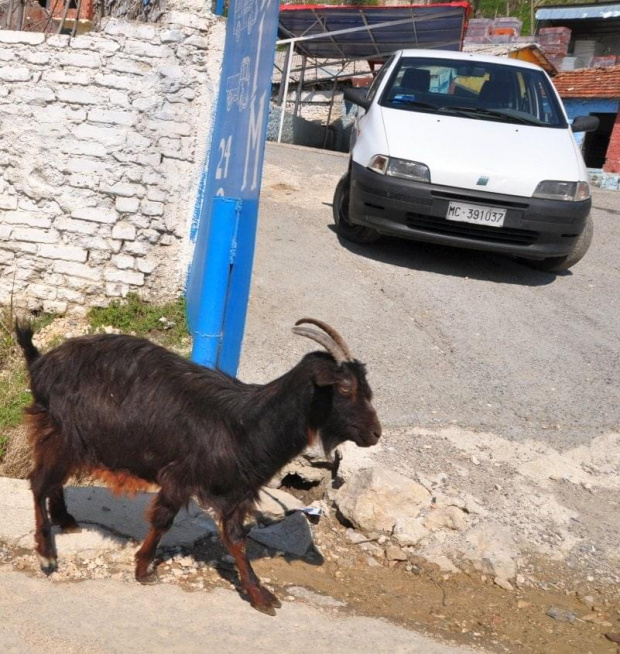 albanskie #Albania