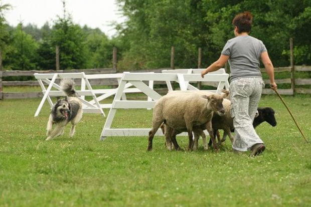 turniej Pastuszkowo