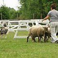 turniej Pastuszkowo