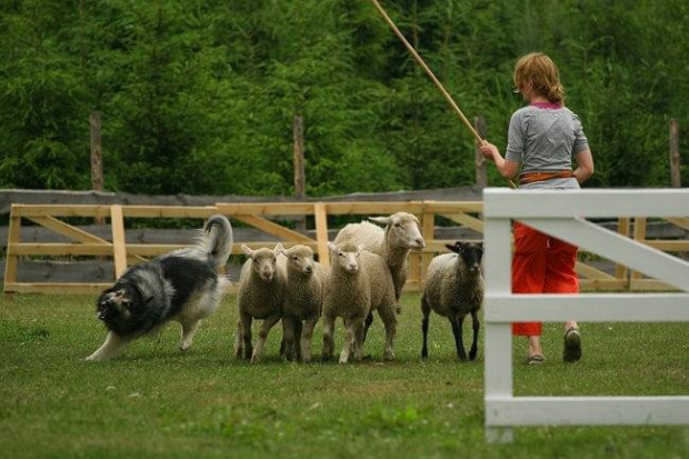 turniej Pastuszkowo