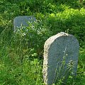 Czarne - Dawny cmentarz Ewangelicki #Czarne