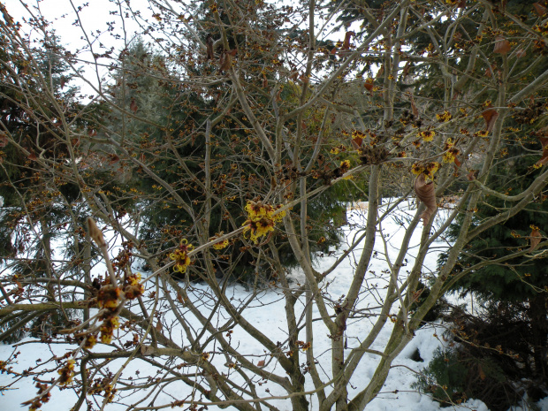 21.02.2010 -Christiansberg