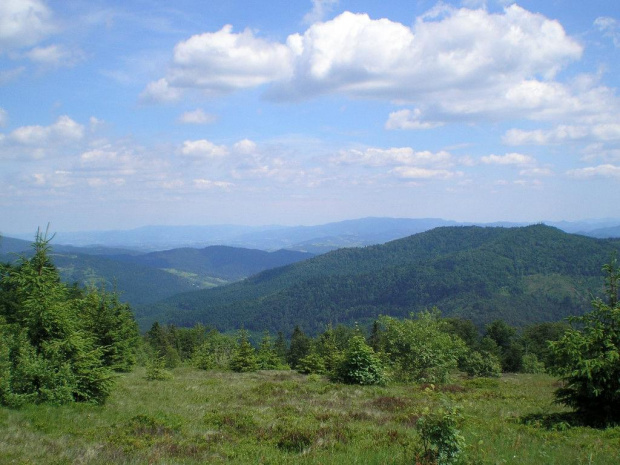 Beskid Sądecki z polany Skalne między Jasieniem a Kutrzycą #BeskidWyspowy #beskidy #góry #jasień