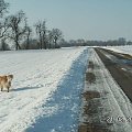 Na drodze jest nieźle