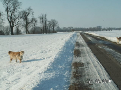 Na drodze jest nieźle