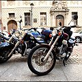 harley i toruń (II)