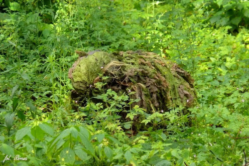 „Młodzieżowy obóz historyczny: piskie fortyfikacje” #Rozrusznik #Rygielpisz