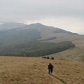 Bieszczady Wschodnie - w paśmie połonin pomiędzy Starostyną i Wielkim Wierchem.