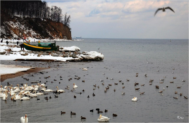 Gdynia Orłowo widok z mola #Gdynia