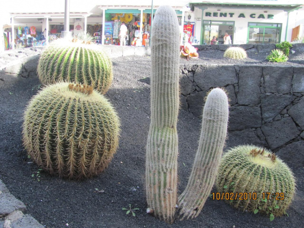 Lanzarote zimą.