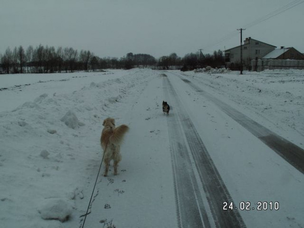 Na lewo też jest czyściej