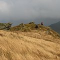 Bieszczady Wschodnie - w paśmie połonin pomiędzy Starostyną i Wielkim Wierchem.