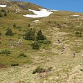 Bieszczady Wschodnie - w drodze ku szczytowi Pikuja.