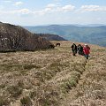 Bieszczady Wschodnie - w drodze z Pikuja ku Ostremu Szczytowi.